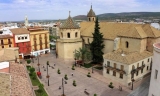 El Ayuntamiento de Lucena considera "aislado" y sin otras ramificaciones el caso detectado de virus del Nilo
