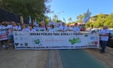Satisfacci&oacute;n entre las plataformas del sur de C&oacute;rdoba ante el pr&oacute;ximo debate sanitario en el Parlamento Andaluz