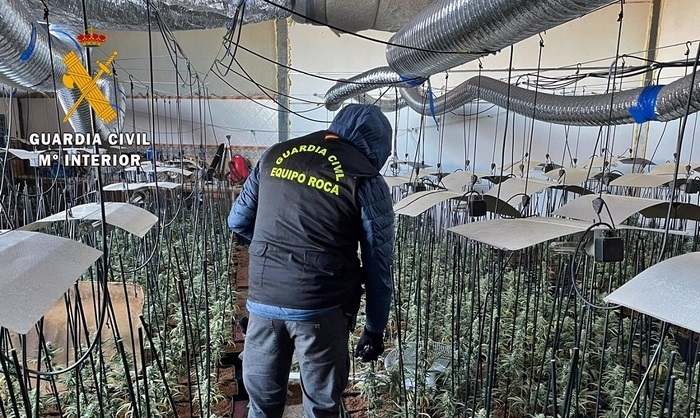 Incautadas 300 plantas de marihuana en una vivienda de Cañada Rosal