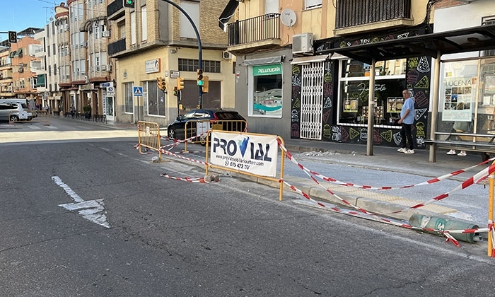 Obras del carril bici en la avenida del Parque.