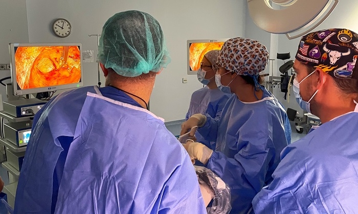 Cirujanos del Área de Osuna se forman para operar de hernia inguinal con una técnica laparoscópica puntera